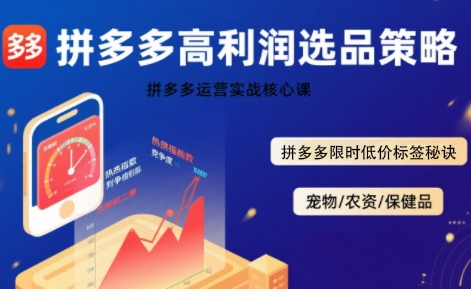 拼多多选品暴利技术实战课，拼多多高利润选品策略，拼多多限时低价标签秘诀-HEIXXXMI