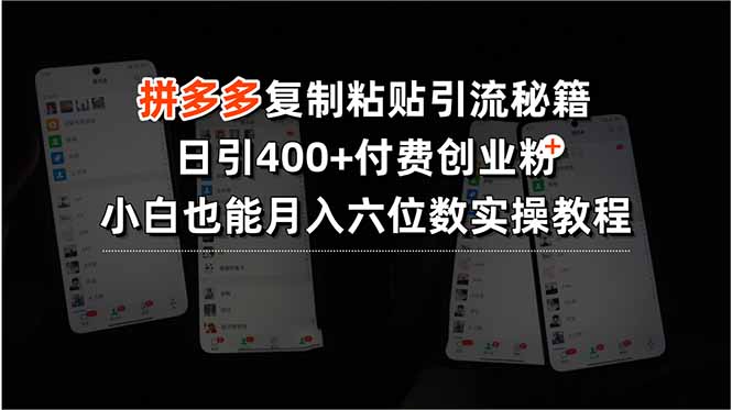 拼多多复制粘贴引流秘籍，日引400+付费创业粉，小白也能月入六位数实操…-HEIXXXMI