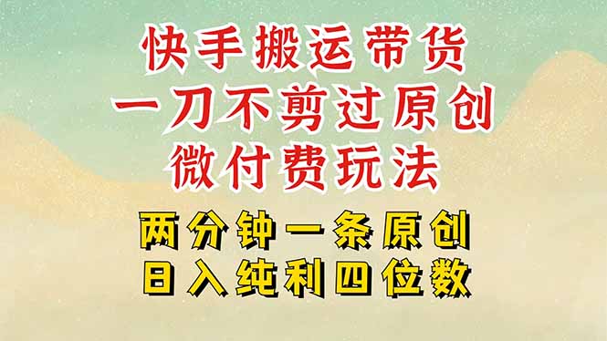 快手黑科技搬运带货，一刀不剪过原创，微付费投流玩法，轻松日入四位数…-HEIXXXMI