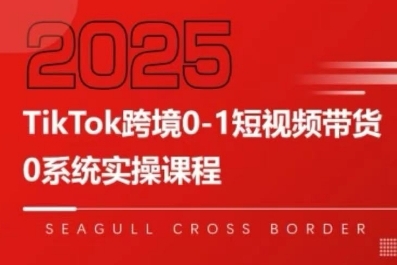 TikTok跨境0-1短视频带货，系统拆解TikTok跨境带货全链路，实现跨境可持续盈利-HEIXXXMI