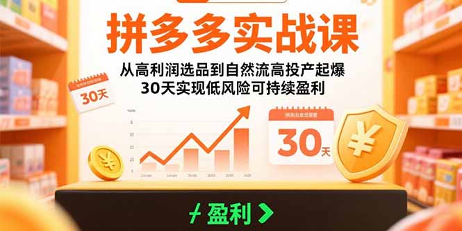 拼多多实战课：从高利润选品到自然流高投产起爆 30天实现低风险可持续盈利-HEIXXXMI