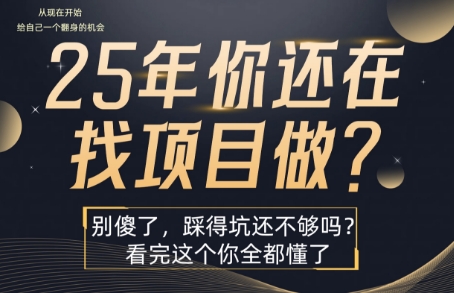 25年，你还在疯狂的找项目吗？别傻了，看完这个你都懂了【揭秘】-HEIXXXMI
