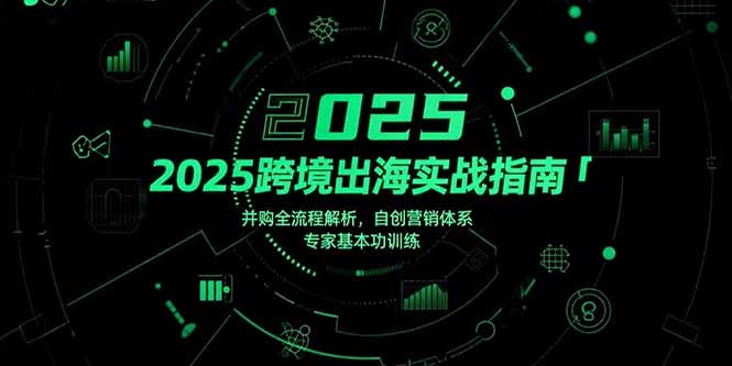 2025跨境出海实战指南，并购全流程解析，自创营销体系，专家基本功训练-HEIXXXMI
