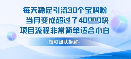 每天稳定引流30个人 当月变成超过了4个W项目流程非常简单适合小白-HEIXXXMI