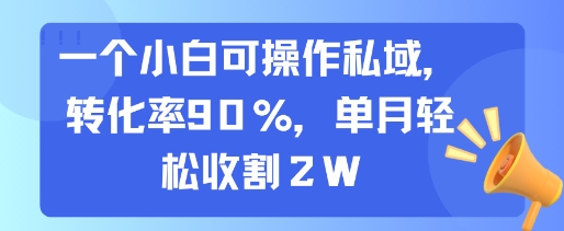 一个小白可操作私域，转化率90%，单月轻松收割2W-HEIXXXMI