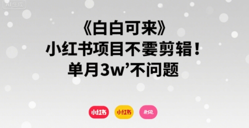 小白可来 小红书项目不需要剪辑 单月3w不是问题-HEIXXXMI
