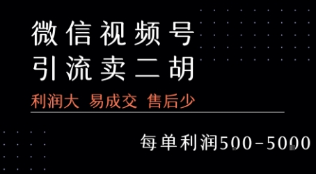 视频号卖二胡教程，利润大 易成交 售后少，一单利润5张+-HEIXXXMI