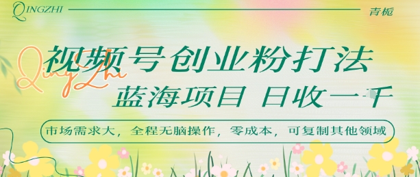 视频号创业粉打法，日入1k，蓝海项目，市场需求大，全程无脑操作，可复制-HEIXXXMI