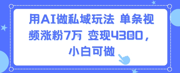 用AI做私域玩法，单条视频涨粉7W变现4.3k，小白可做-HEIXXXMI