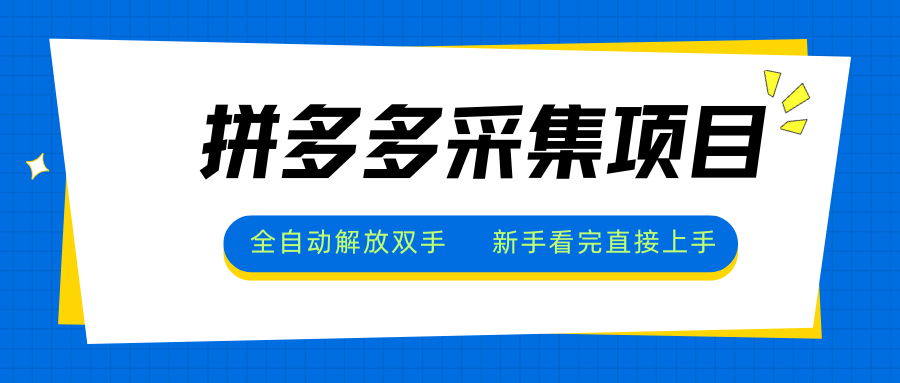 拼多多采集项目，全自动解放双手，单号日入30+-HEIXXXMI
