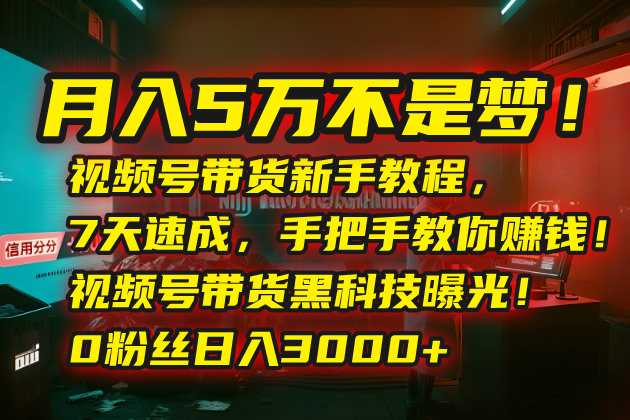 月入5万不是梦！视频号带货新手教程，7天速成，手把手教你赚钱！视频号…-HEIXXXMI