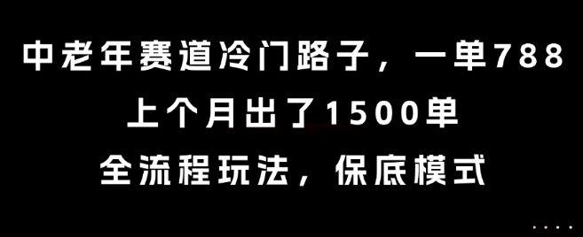 中老年赛道冷门路子，一单788，上个月出了1500单，全流程玩法，保底模式【揭秘】-HEIXXXMI