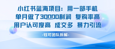 小红书蓝海项目，一部手机单月做了3W利润，小白也能月入过1W用户认可度高成交多-HEIXXXMI