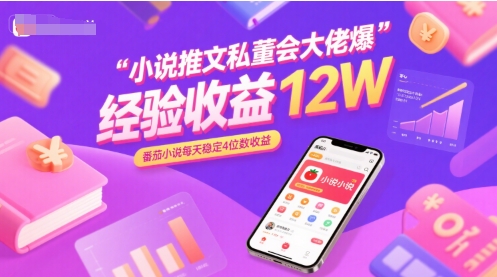 小说推文私董会大佬爆单经验分享收益12W，番茄小说每天稳定4位数收益-HEIXXXMI