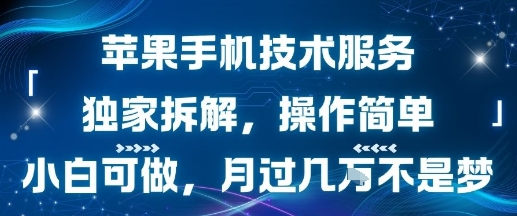 苹果手机技术服务，独家拆解，操作简单，小白可做，月过1W不是梦-HEIXXXMI