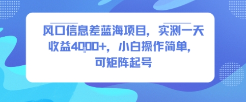 风口信息差蓝海项目，实测一天收益4k+，小白操作简单，可矩阵起号-HEIXXXMI