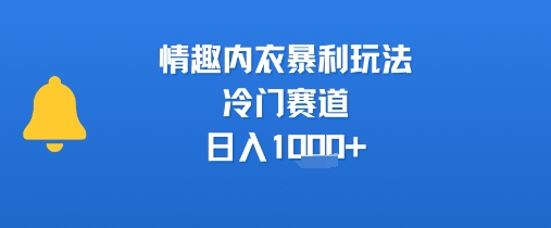 情趣内衣暴利玩法，冷门赛道，日入1k+-HEIXXXMI