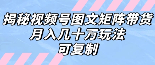 解密视频号图文矩阵带货，月入几个W的打法，可复制-HEIXXXMI