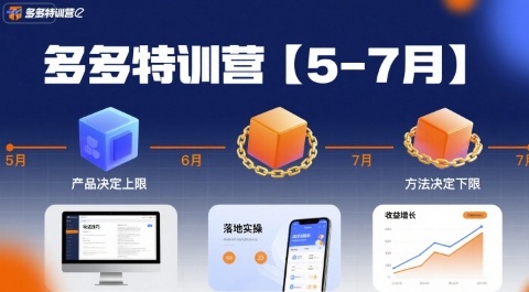多多特训营【5-7月】产品决定上限，方法决定下限，各种玩法技巧落地实操-HEIXXXMI