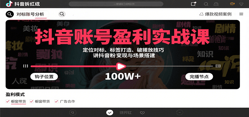 抖音账号盈利实战课，定位对标、标签打造、破播放技巧，讲涨粉变现与场景搭建-HEIXXXMI