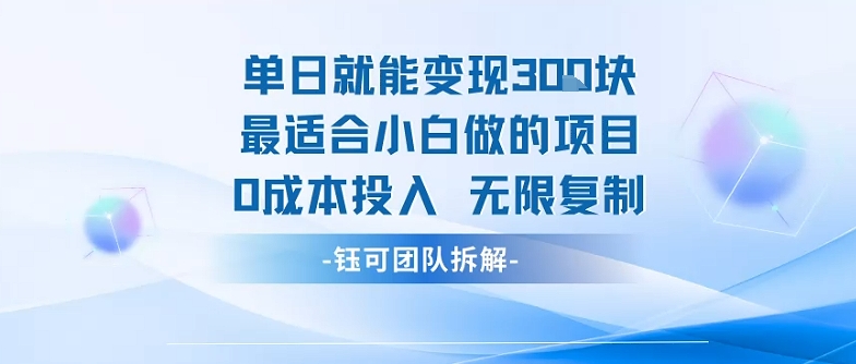 单日就能变现3张最适合小白做的项目0成本投入 无限复制-HEIXXXMI