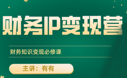 有有老师·财务IP变现营，财务知识变现必修课-HEIXXXMI
