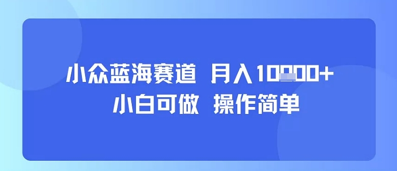 小众蓝海赛道，小白可做，操作简单，每天30分钟，月入1W+-HEIXXXMI