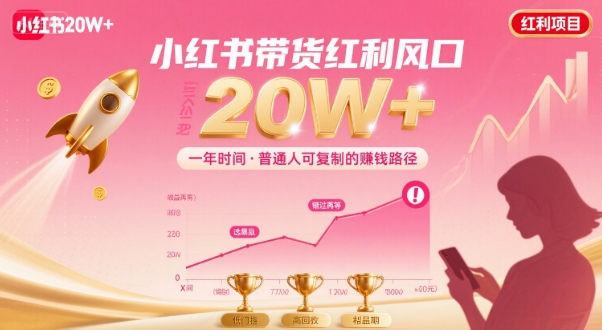 一年时间靠小红书带货项目年入20w+，最不能错的大红利项目-HEIXXXMI