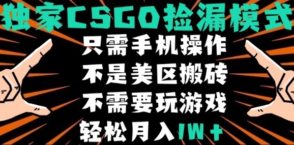 CSGO自动捡漏项目，最新独家玩法，不是美区搬砖，不需要了解和玩游戏，新手小白轻松月入1W+【揭秘】-HEIXXXMI