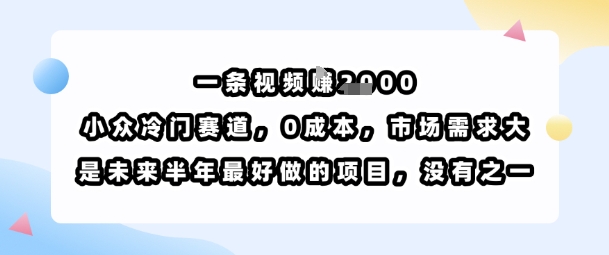 一条视频挣1k，小众冷门赛道，0成本，市场需求大，是未来半年最好做的项目，没有之一-HEIXXXMI