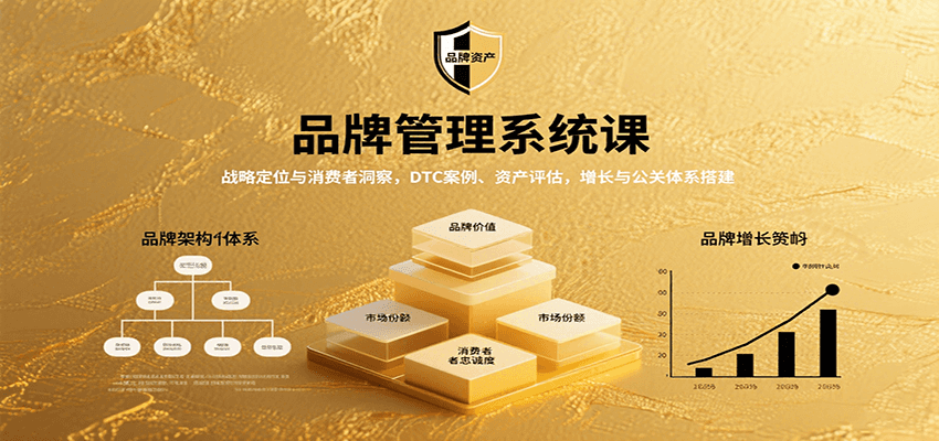 品牌管理系统课：战略定位与消费者洞察，DTC案例、资产评估，增长与公关体系搭建-HEIXXXMI
