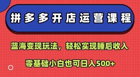 拼多多开店运营课程：蓝海变现玩法，轻松实现睡后收入，零基础小白也可日入5张-HEIXXXMI