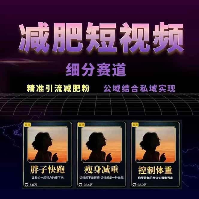 图片[2]-减肥短视频运营实战课：含素材制作、剪映教学，讲精准引流、变现设计与内容模板技巧-HEIXXXMI