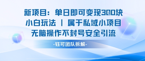 新项目单日即可变现3张的小白玩法无脑操作不封号安全引流-HEIXXXMI