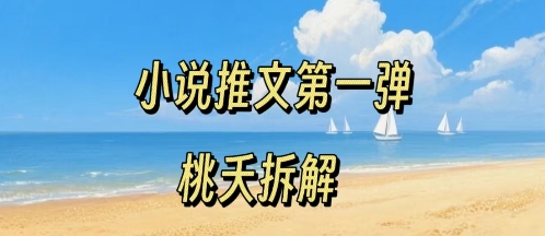 小说推文项目操作全流程第一弹，0粉就能做，门槛低非常适合新手-HEIXXXMI