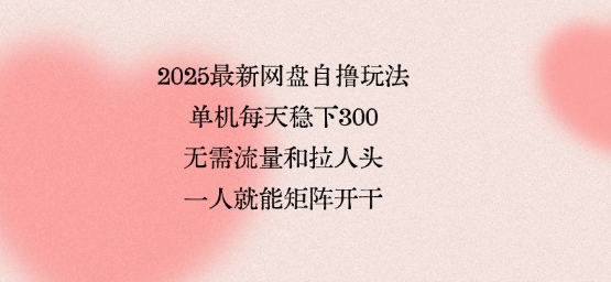2025最新网盘自撸玩法，单机每天稳下3张，无需流量和拉人头，一个人就可轻松矩阵，全网独一份【揭秘】-HEIXXXMI