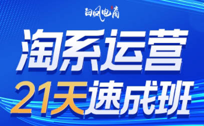 白凤电商·淘系运营21天速成班(更新8月)-HEIXXXMI