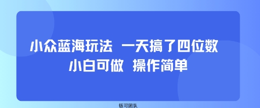 小众蓝海玩法 一天搞了四位数 小白可做 操作简单-HEIXXXMI