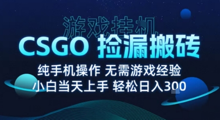 8月最新游戏搬砖，CSGO纯挂G，不需要玩游戏，实现真挂G，月入1W+【揭秘】-HEIXXXMI