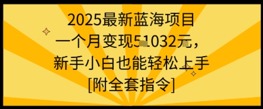 2025最新蓝海项目一个月变现1w+新手小白也能轻松上手【附全套指令】-HEIXXXMI