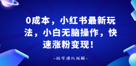 0成本，小红书最新玩法，小白无脑操作，快速涨粉变现-HEIXXXMI