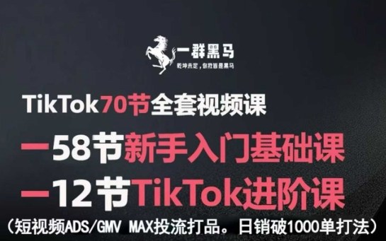 TikTok全套视频课，新手入门+进阶课，短视频ADS-GMV MAX投流打品，日销破1000单打法-HEIXXXMI