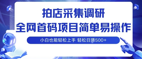 拍店采集调研，全网首码项目，简单易操作， 小白也能轻松上手，多账号操作，轻松日入5张【揭秘】-HEIXXXMI