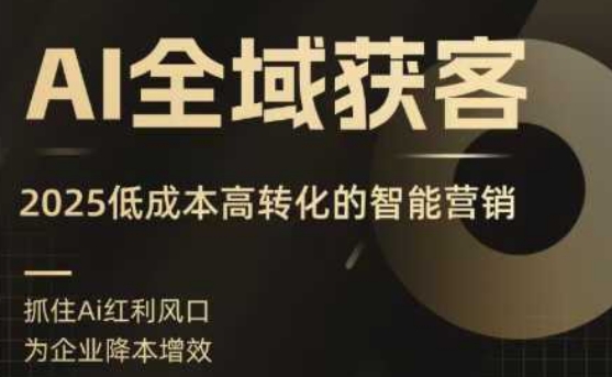 AI全域获客实训营，2025低成本高转化的智能营销，精准找客，高效营销-HEIXXXMI