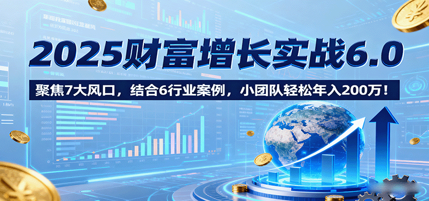 2025财富增长实战6.0，聚焦7大风口，结合6行业案例，小团队轻松年入200万！-HEIXXXMI