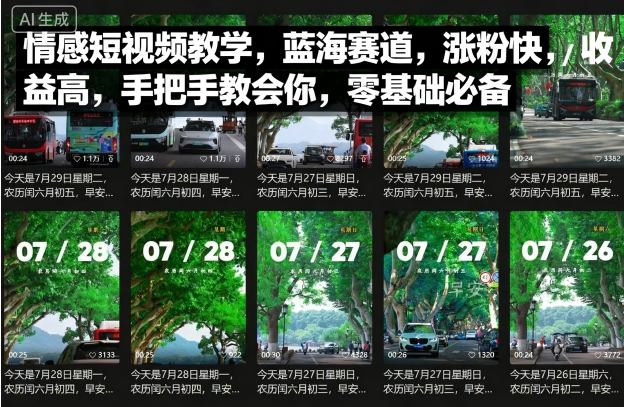 情感短视频教学，蓝海赛道，涨粉快，收益高，手把手教会你，零基础必备-HEIXXXMI