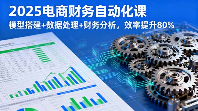 2025电商财务自动化课，模型搭建+数据处理+财务分析，效率提升80%-HEIXXXMI