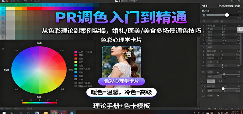 PR调色入门到精通：从色彩理论到案例实操，婚礼/医美/美食多场景调色技巧-HEIXXXMI