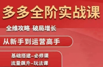 大炮·拼多多全阶实战课程(更新10月)-HEIXXXMI