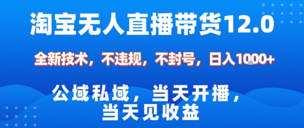 淘宝无人直播12.0，公域私域技术，不封号，不违规布局双十一流量风口，日入1k(独家技术)【揭秘】-HEIXXXMI